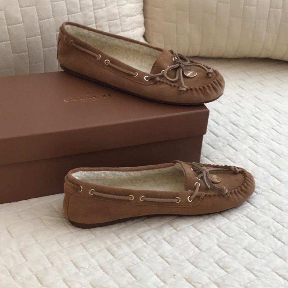 Coach suede shoes lined with shearling NIB.